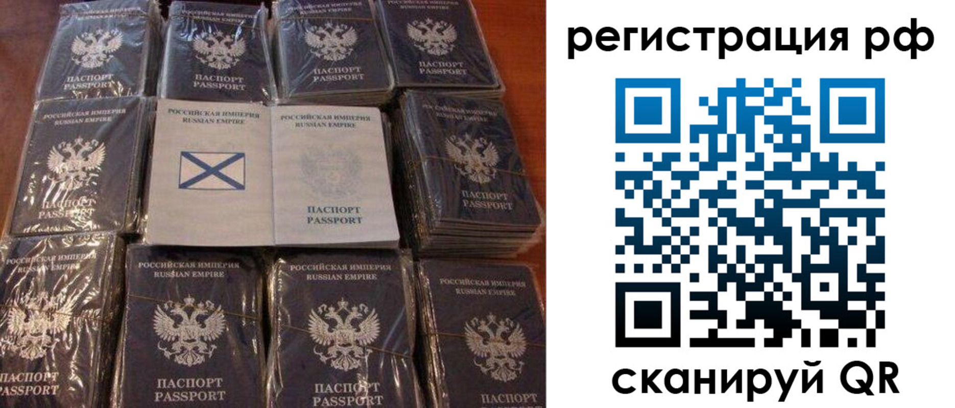 найти адрес прописки в Светлом